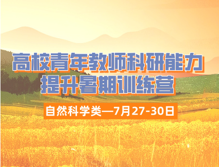 高校青年教师科研能力（自然科学类）